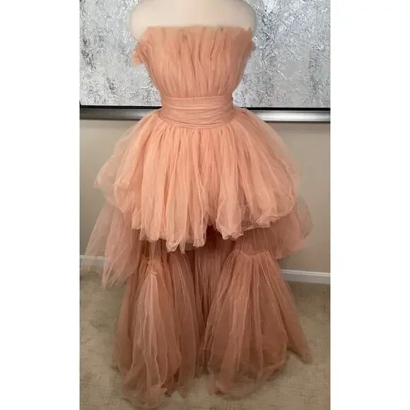 BRONX AND BANCO Anna Tiered Tulle Strapless Pink Maxi Dress Size Small - Picture 6 of 15